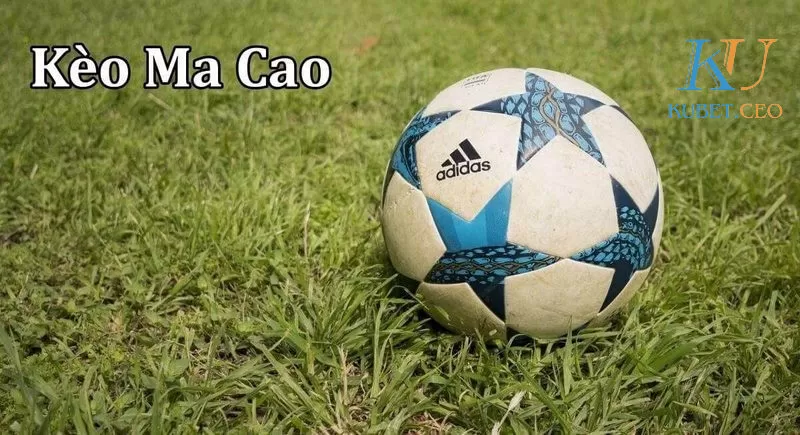Một số loại kèo Macao phổ biến nhất
